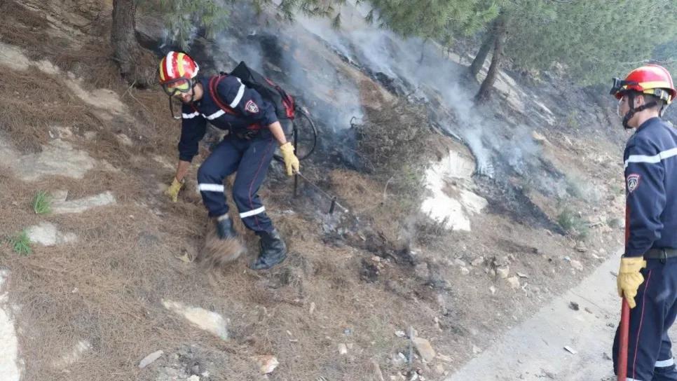 حرائق الغابات.. حرائق الغابات..