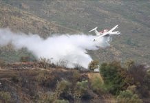 الجزائر تعلن إخماد كافة حرائق الغابات الجزائر تعلن إخماد كافة حرائق الغابات