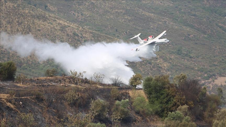 الجزائر تعلن إخماد كافة حرائق الغابات الجزائر تعلن إخماد كافة حرائق الغابات