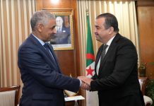 الجزائر والبنك الإفريقي للتنمية يعززان الشراكة الطاقوية والمنجمية الجزائر والبنك الإفريقي للتنمية يعززان الشراكة الطاقوية والمنجمية