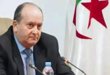 غريب في جوهانسبرغ للمشاركة في قمة مجموعة الـ20 غريب في جوهانسبرغ للمشاركة في قمة مجموعة الـ20