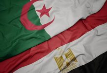 اجتماع جزائري-مصري لتعزيز التعاون الاستثماري وتطوير بيئة الأعمال اجتماع جزائري-مصري لتعزيز التعاون الاستثماري وتطوير بيئة الأعمال