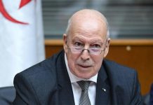 تسريع التعاون بين الجزائر ومصر ومبادلات بـ1.3 مليار دولار تسريع التعاون بين الجزائر ومصر ومبادلات بـ1.3 مليار دولار