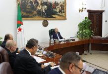 الرئيس تبون يترأس اجتماعا لمجلس الوزراء الرئيس تبون يترأس اجتماعا لمجلس الوزراء