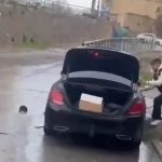 بعد فيديو سرقة سيارة بسكيكدة.. الشرطة توقف 5 أشخاص بعد فيديو سرقة سيارة بسكيكدة.. الشرطة توقف 5 أشخاص