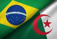 شراكة جزائرية–برازيلية لتعزيز الاستثمار الصناعي في هذه المجالات شراكة جزائرية–برازيلية لتعزيز الاستثمار الصناعي في هذه المجالات