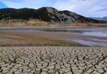 طمي السدود ثروة مهدرة تدخل الزراعة والصناعة قريبا في الجزائر طمي السدود ثروة مهدرة تدخل الزراعة والصناعة قريبا في الجزائر