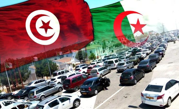 جندوبة تستقبل 1.4 مليون جزائري.. استثمار السياحة الداخلية بات ضروريًا جندوبة تستقبل 1.4 مليون جزائري.. استثمار السياحة الداخلية بات ضروريًا