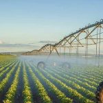 ورقلة تستضيف معرضا دوليا لبحث تطوير الزراعات الاستراتيجية ورقلة تستضيف معرضا دوليا لبحث تطوير الزراعات الاستراتيجية