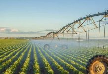 ورقلة تستضيف معرضا دوليا لبحث تطوير الزراعات الاستراتيجية ورقلة تستضيف معرضا دوليا لبحث تطوير الزراعات الاستراتيجية