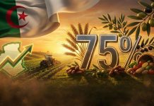 الجزائر تقترب من الاكتفاء الذاتي بتلبية 75% من احتياجاتها الغذائية الجزائر تقترب من الاكتفاء الذاتي بتلبية 75% من احتياجاتها الغذائية