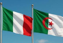 الجزائر تسجّل فائضا تجاريا مع إيطاليا وترفع صادراتها من هذه المادة الجزائر تسجّل فائضا تجاريا مع إيطاليا وترفع صادراتها من هذه المادة