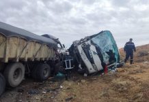 44 جريحًا في حادثي مرور منفصلين بباتنة والمغير 44 جريحًا في حادثي مرور منفصلين بباتنة والمغير