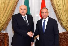 مصر والجزائر تبحثان تطورات غزة وتؤكدان أهمية توحيد المؤسسات الليبية مصر والجزائر تبحثان تطورات غزة وتؤكدان أهمية توحيد المؤسسات الليبية