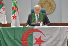 بوغالي: تجريم الاستعمار وفاءٌ للذاكرة وسيادةٌ للدولة بوغالي: تجريم الاستعمار وفاءٌ للذاكرة وسيادةٌ للدولة