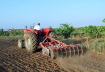 أمطار الخير تبشر بموسم فلاحي ناجح أمطار الخير تبشر بموسم فلاحي ناجح