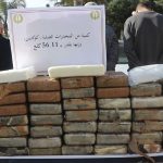 حجز أزيد من نصف قنطار كوكايين و260 كغ من الكيف المعالج حجز أزيد من نصف قنطار كوكايين و260 كغ من الكيف المعالج