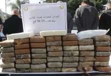 حجز أزيد من نصف قنطار كوكايين و260 كغ من الكيف المعالج حجز أزيد من نصف قنطار كوكايين و260 كغ من الكيف المعالج