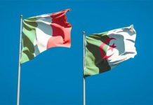 الجالية الجزائرية بإيطاليا تأمل في تجسيد حلم الخط البحري المباشر الجالية الجزائرية بإيطاليا تأمل في تجسيد حلم الخط البحري المباشر