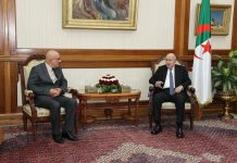 الرئيس تبون يستقبل الأمين العام للمحافظة السامية للأمازيغية الرئيس تبون يستقبل الأمين العام للمحافظة السامية للأمازيغية