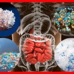 التلوث البلاستيكي يهدد صحة الجزائريين التلوث البلاستيكي يهدد صحة الجزائريين