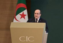 سيفي غريب: حماية المسيّرين أخذت حيزا من الإصلاحات التشريعية سيفي غريب: حماية المسيّرين أخذت حيزا من الإصلاحات التشريعية