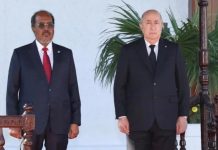 الجزائر تدين بأشدّ العبارات اعتراف سلطات الإسرائيلي بإقليم أرض الصومال الجزائر تدين بأشدّ العبارات اعتراف سلطات الإسرائيلي بإقليم أرض الصومال