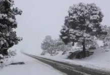 الثلوج تغلق طرقا وتحاصر سيارات بالجزائر وتغطي مناطق واسعة بتونس الثلوج تغلق طرقا وتحاصر سيارات بالجزائر وتغطي مناطق واسعة بتونس
