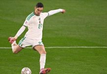 عادل بولبينة ضيف مفاجئ أصبح بطل الجزائر في كأس أفريقيا عادل بولبينة ضيف مفاجئ أصبح بطل الجزائر في كأس أفريقيا