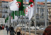 الجزائريون أذكى شعوب شمال إفريقيا الجزائريون أذكى شعوب شمال إفريقيا