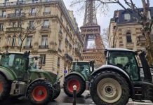 كيف خنقت باريس مزارعي الحبوب بتصعيد الأزمة مع الجزائر؟ كيف خنقت باريس مزارعي الحبوب بتصعيد الأزمة مع الجزائر؟