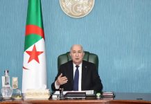 الرئيس تبون يقرر إنشاء تعاونيات متخصصة في كراء العتاد الفلاحي الرئيس تبون يقرر إنشاء تعاونيات متخصصة في كراء العتاد الفلاحي