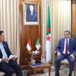 الجزائر وإندونيسيا تبحثان شراكة استراتيجية في المحروقات الجزائر وإندونيسيا تبحثان شراكة استراتيجية في المحروقات