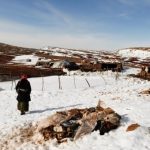 تحذيرات وإلغاء رحلات.. عاصفة قوية تغلق مدارس وجامعات الجزائر تحذيرات وإلغاء رحلات.. عاصفة قوية تغلق مدارس وجامعات الجزائر