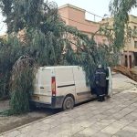 الرياح العاتية تخلف خسائر جسيمة بعدد من الولايات الرياح العاتية تخلف خسائر جسيمة بعدد من الولايات