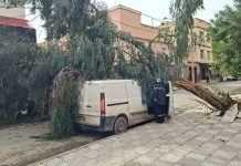 الرياح العاتية تخلف خسائر جسيمة بعدد من الولايات الرياح العاتية تخلف خسائر جسيمة بعدد من الولايات