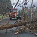 تقلبات جوية: وفاة طفل وإصابة 19 شخصًا في 8 ولايات تقلبات جوية: وفاة طفل وإصابة 19 شخصًا في 8 ولايات