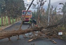 تقلبات جوية: وفاة طفل وإصابة 19 شخصًا في 8 ولايات تقلبات جوية: وفاة طفل وإصابة 19 شخصًا في 8 ولايات