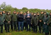 بعد نجاح أكتوبر.. إطلاق حملة جديدة لغرس 5 ملايين شجرة بعد نجاح أكتوبر.. إطلاق حملة جديدة لغرس 5 ملايين شجرة