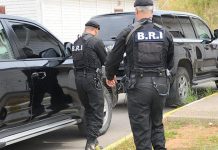 شرطة النعامة تضبط 80 كلغ من الكيف المعالج قادمة من المغرب شرطة النعامة تضبط 80 كلغ من الكيف المعالج قادمة من المغرب