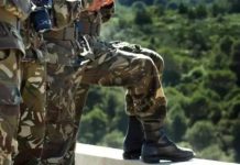 الحصيلة العملياتية للجيش لشهر جانفي الحصيلة العملياتية للجيش لشهر جانفي