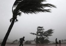 تحذير من رياح قوية يوم غد الأربعاء على عدة ولايات تحذير من رياح قوية يوم غد الأربعاء على عدة ولايات