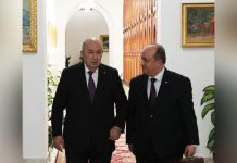 تبون يأمر بإنجاز محطّتين لتحلية المياه في تمنغست وتندوف تبون يأمر بإنجاز محطّتين لتحلية المياه في تمنغست وتندوف