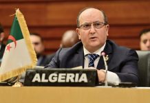 تبون: إفريقيا تواجه ضغوطا للتضحية بأمنها الطاقوي تبون: إفريقيا تواجه ضغوطا للتضحية بأمنها الطاقوي