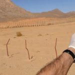 الإشعاعات النووية تسببت في أكثر من عشرين نوعا من السرطانات الإشعاعات النووية تسببت في أكثر من عشرين نوعا من السرطانات