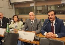 انتقادات جزائرية في جلسة حول حقوق الإنسان والديمقراطية بالنمسا انتقادات جزائرية في جلسة حول حقوق الإنسان والديمقراطية بالنمسا