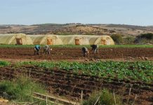 هذه الوثائق المطلوبة من الفلاحين لمطابقة الأراضي المستصلحة هذه الوثائق المطلوبة من الفلاحين لمطابقة الأراضي المستصلحة