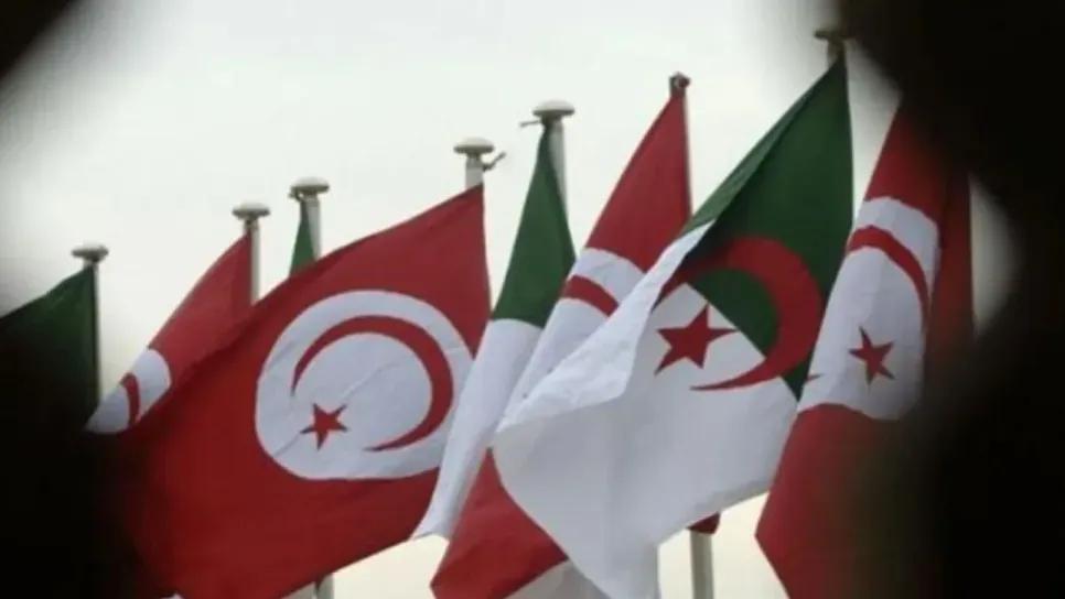 الجزائر وتونس.. هدف لحرب افتراضية الجزائر وتونس.. هدف لحرب افتراضية