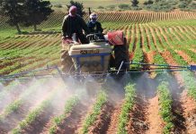 ارتياح كبير لقرارات رئيس الجمهورية لفائدة القطاع الفلاحي ارتياح كبير لقرارات رئيس الجمهورية لفائدة القطاع الفلاحي