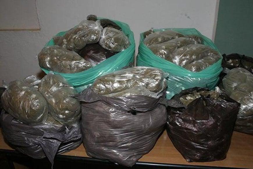 حجز أكثر من 20 قنطار من مادة الشمّة المغشوشة حجز أكثر من 20 قنطار من مادة الشمّة المغشوشة